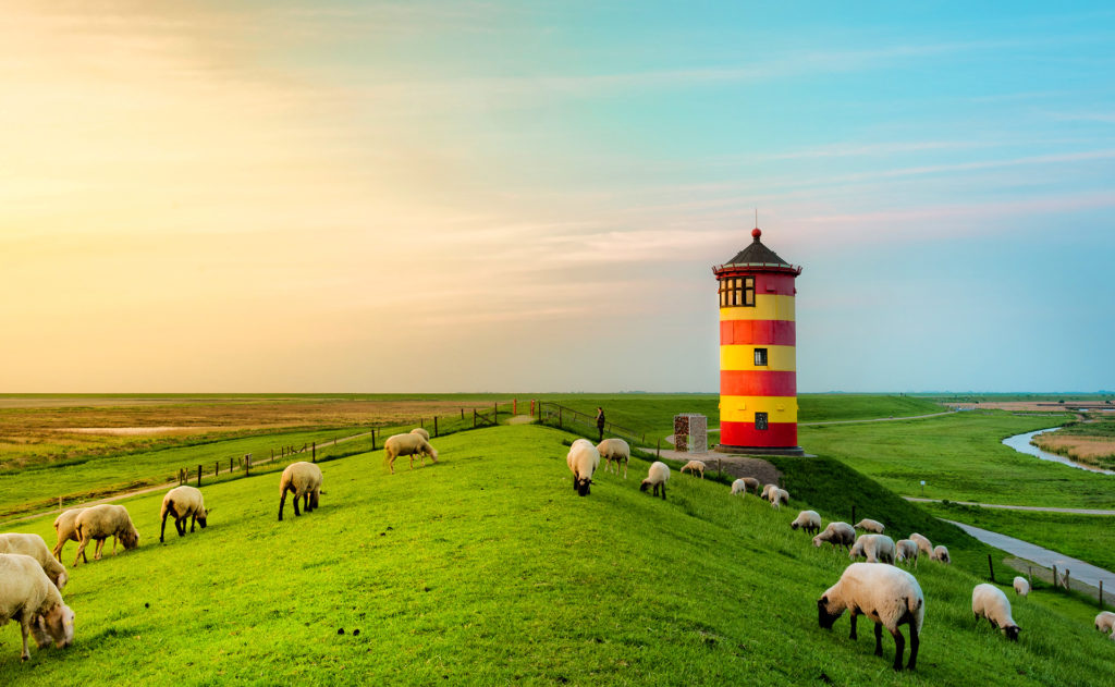 ADAC Reisemagazin #189 - Südliche Nordsee - Natur mit Weitblick